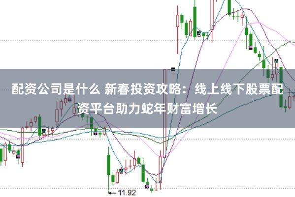 配资公司是什么 新春投资攻略：线上线下股票配资平台助力蛇年财富增长