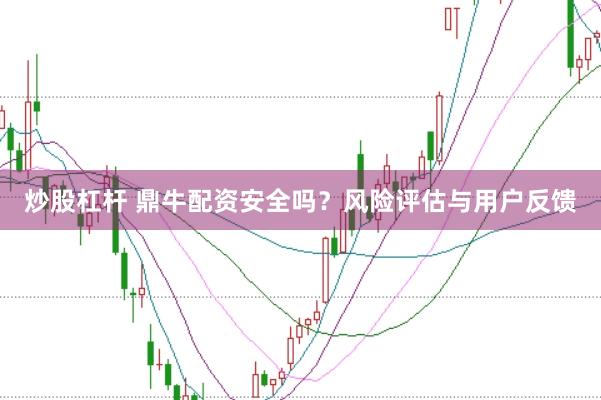 炒股杠杆 鼎牛配资安全吗？风险评估与用户反馈