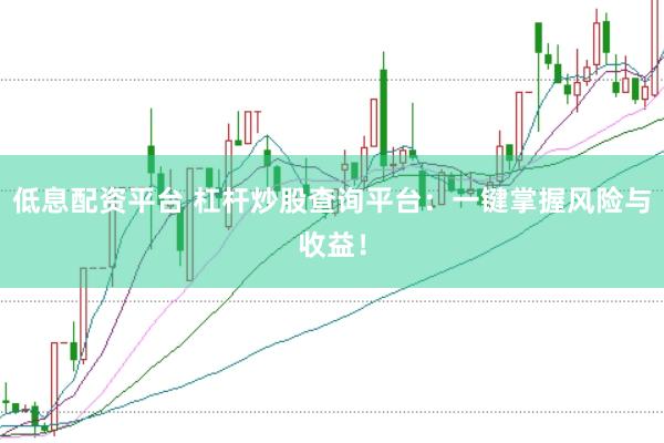 低息配资平台 杠杆炒股查询平台：一键掌握风险与收益！