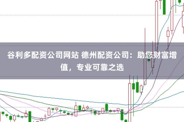 谷利多配资公司网站 德州配资公司：助您财富增值，专业可靠之选