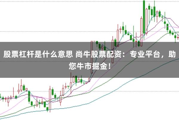 股票杠杆是什么意思 尚牛股票配资：专业平台，助您牛市掘金！