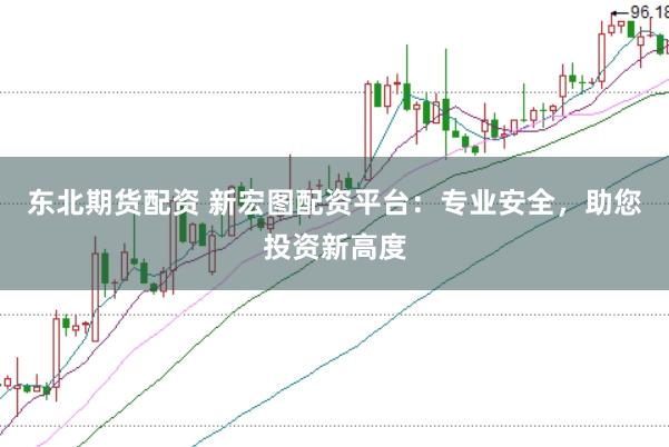 东北期货配资 新宏图配资平台：专业安全，助您投资新高度
