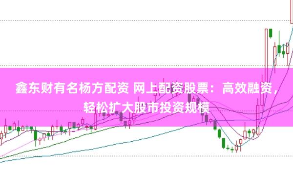 鑫东财有名杨方配资 网上配资股票：高效融资，轻松扩大股市投资规模