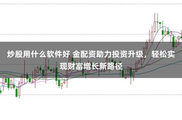 炒股用什么软件好 金配资助力投资升级，轻松实现财富增长新路径