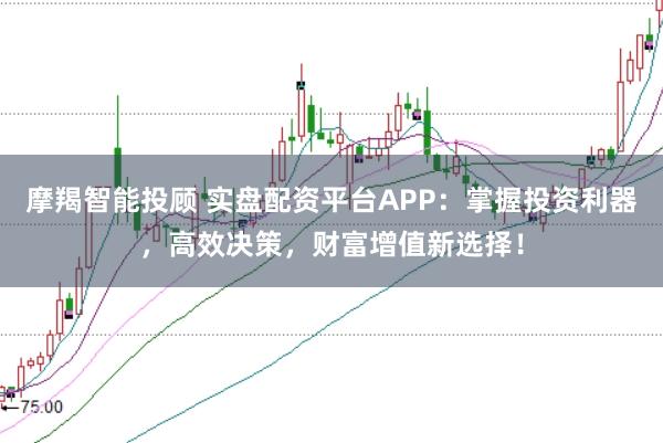 摩羯智能投顾 实盘配资平台APP：掌握投资利器，高效决策，财富增值新选择！