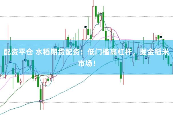 配资平仓 水稻期货配资：低门槛高杠杆，掘金稻米市场！