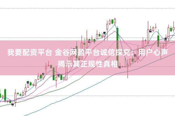 我要配资平台 金谷网盈平台诚信探究：用户心声揭示其正规性真相
