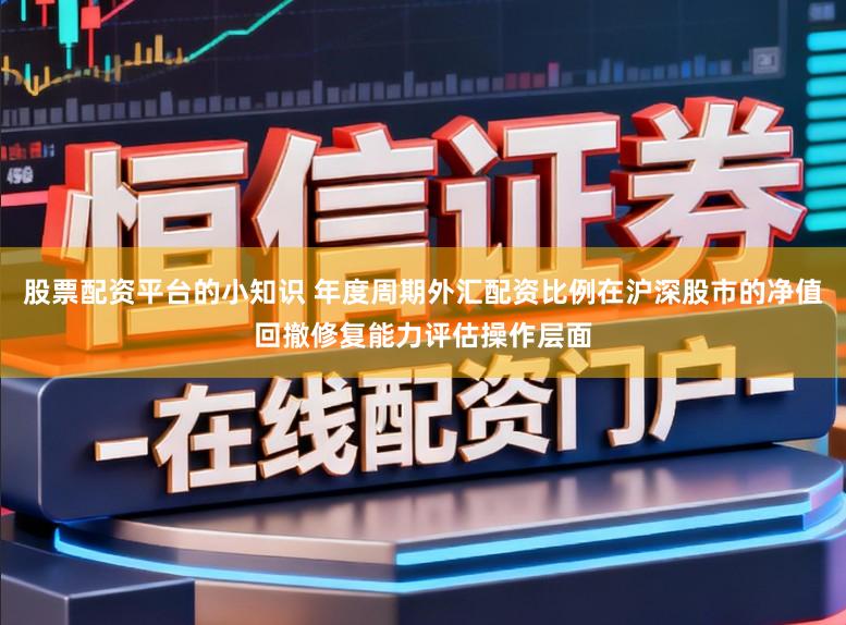 股票配资平台的小知识 年度周期外汇配资比例在沪深股市的净值回撤修复能力评估操作层面