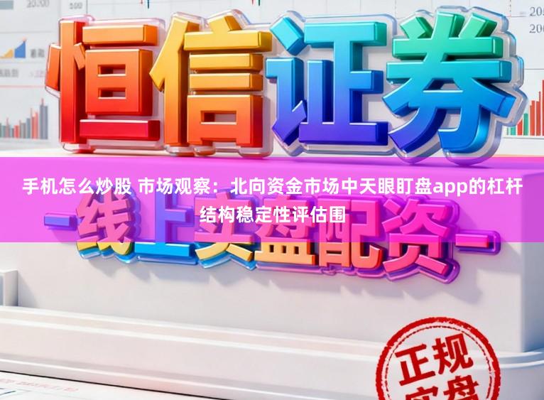 手机怎么炒股 市场观察：北向资金市场中天眼盯盘app的杠杆结构稳定性评估围
