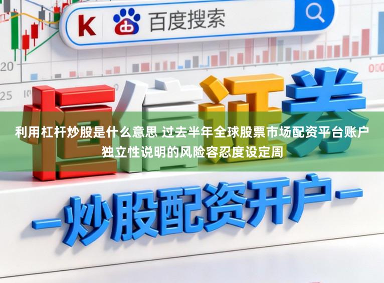 利用杠杆炒股是什么意思 过去半年全球股票市场配资平台账户独立性说明的风险容忍度设定周