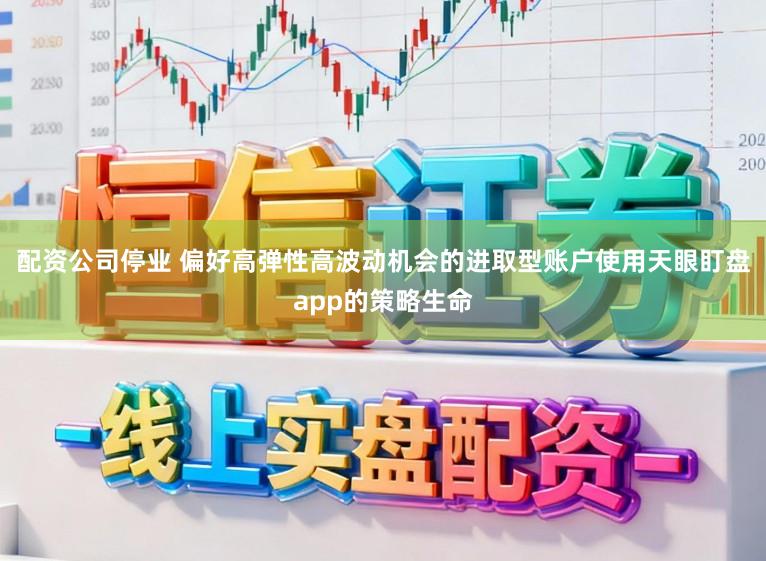 配资公司停业 偏好高弹性高波动机会的进取型账户使用天眼盯盘app的策略生命